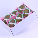 山形産メロウリッチ【秀品】6玉化粧箱入