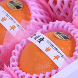 愛媛産甘平(かんぺい)【赤秀品】6玉化粧箱入