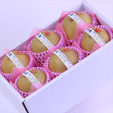 鳥取産王秋(おうしゅう)梨【秀品】6玉化粧箱入