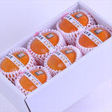 福岡産秋王(あきおう)柿「青秀品」6玉化粧箱入