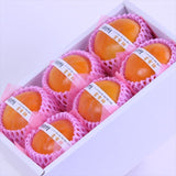 奈良西吉野産富有柿【赤秀品】6玉化粧箱入