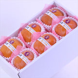 和歌山産紀ノ川柿【赤秀品】6玉化粧箱入