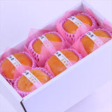 愛知または三重産露地次郎柿【秀品】6玉化粧箱入