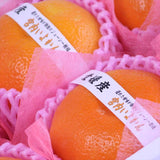 愛媛産宮内いよかん【赤秀品】6玉化粧箱入