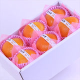 愛媛産宮内いよかん【赤秀品】6玉化粧箱入