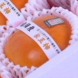 福岡産秋王(あきおう)柿「青秀品」6玉化粧箱入