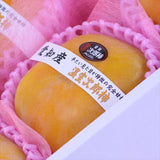 愛知産温室次郎柿【秀品】6玉化粧箱入