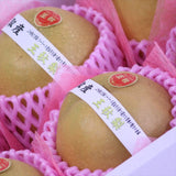 鳥取産王秋(おうしゅう)梨【秀品】6玉化粧箱入