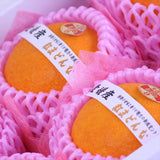 愛媛産紅まどんな【赤秀品】6玉化粧箱入