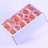 和歌山産紀ノ川柿【赤秀品】6玉化粧箱入