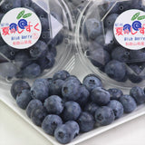 和歌山産ブルーベリー 夏のしずく【大粒】