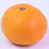 和歌山産なつみ柑橘【秀品】産地化粧箱入