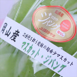 岡山産マスカット・ジパング【赤秀品】1房化粧箱入