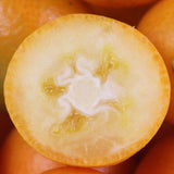 宮崎産種無し金柑「夢丸(ゆめまる)」化粧箱入