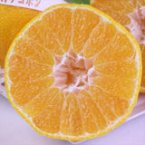 和歌山産AQ(有田クオリティ)葉付デコポン「赤秀品」産地箱入