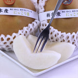 栃木産にっこり梨【赤秀品】産地箱入