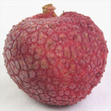 宮崎産生ライチ産地化粧箱