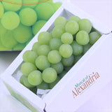 岡山産マスカットオブアレキサンドリア【特秀品】 1房化粧箱入