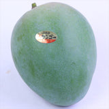 沖縄産キーツマンゴー「秀品」3Lサイズ1玉化粧箱入