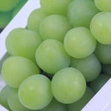 岡山産マスカットオブアレキサンドリア【特秀品】 1房化粧箱入