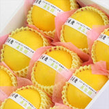 愛媛産マルエムフルーツアイランド産 美生柑(みしょうかん) 9玉化粧箱入