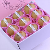 鳥取産王秋(おうしゅう)梨【秀品】9玉化粧箱入