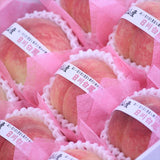 和歌山産日川白鳳(ひかわはくほう)【赤秀品】化粧箱9玉入