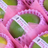 USA産カクテルフルーツ9玉化粧箱入