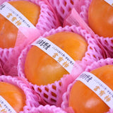 奈良西吉野産富有柿【赤秀品】9玉化粧箱入