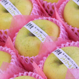 長野産シナノゴールド【特秀品】9玉化粧箱入