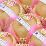 新潟産新高(にいたか)梨【秀品】9玉化粧箱入