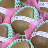 山形産メロウリッチ【秀品】9玉化粧箱入