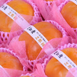 愛知または三重産露地次郎柿【秀品】9玉化粧箱入