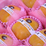 愛知産温室次郎柿【秀品】9玉化粧箱入