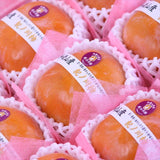 和歌山産紀ノ川柿【赤秀品】9玉化粧箱入