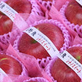 長野産シナノスイート【秀品】9玉化粧箱入