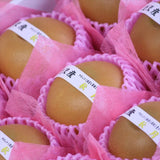 金沢産秋月梨【秀品】9玉化粧箱入