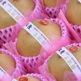 鳥取産王秋(おうしゅう)梨【秀品】9玉化粧箱入