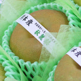 熊本産秋麗梨(しゅうれいなし)【赤秀品】9玉化粧箱入