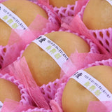 京都産または新潟産新興(しんこう)梨【秀品】9玉化粧箱入