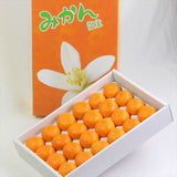 和歌山産AQ有田温室みかん【秀品】産地化粧箱入
