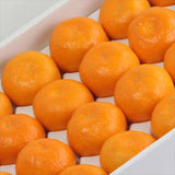 和歌山産AQ有田温室みかん【秀品】産地化粧箱入