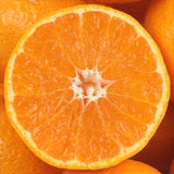 和歌山産AQ有田温室みかん【秀品】産地化粧箱入