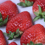 福岡産あまおう【秀品】EX(エクセレント)産地箱入