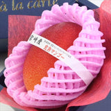 宮崎産完熟マンゴー【赤秀A品】2Lサイズ1玉化粧箱入