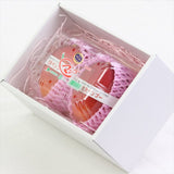 宮崎産完熟マンゴー【赤秀A品】Lサイズ2玉化粧箱入