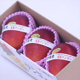 沖縄産完熟マンゴーLサイズ3玉産地化粧箱入