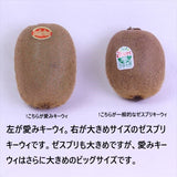 愛媛JAたいき産甘熟キーウィ「愛み(まなみ)キーウィ」産地化粧箱入