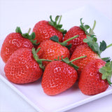 熊本産ひのしずく化粧箱入