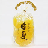 サンヨー堂ゼリー化粧箱6個詰セット